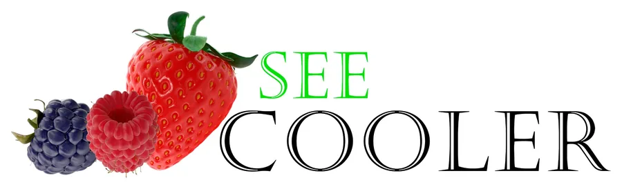 Logo realista en alta definición de SeeCooler